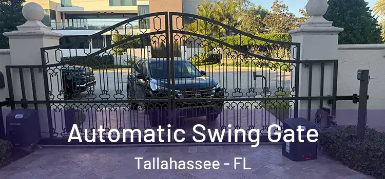  Automatic Swing Gate Tallahassee - FL