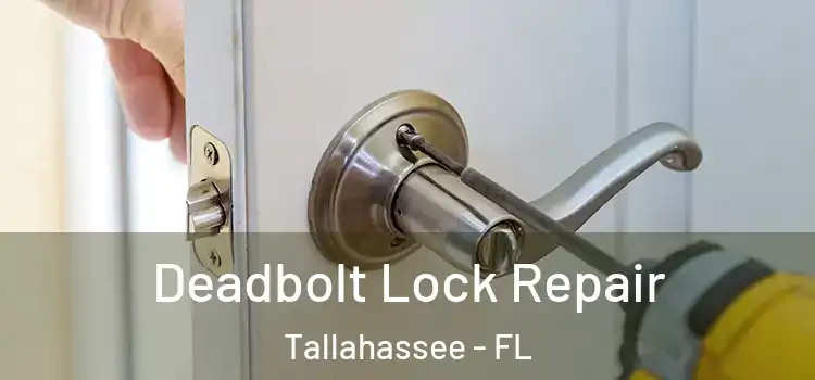  Deadbolt Lock Repair Tallahassee - FL