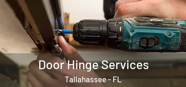  Door Hinge Services Tallahassee - FL
