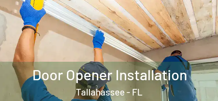  Door Opener Installation Tallahassee - FL