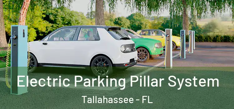  Electric Parking Pillar System Tallahassee - FL