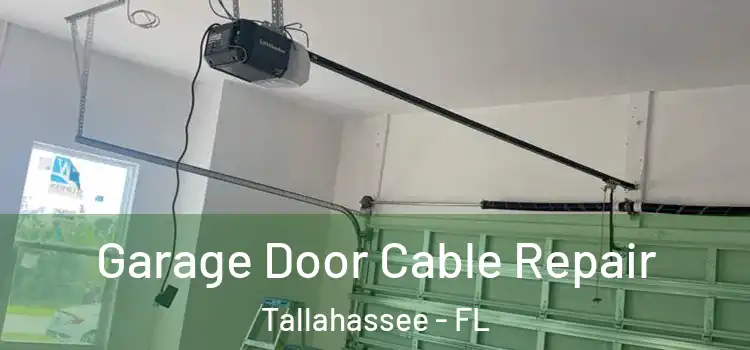  Garage Door Cable Repair Tallahassee - FL