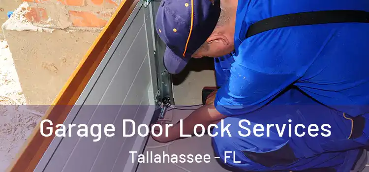  Garage Door Lock Services Tallahassee - FL