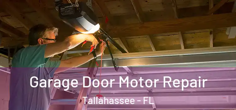  Garage Door Motor Repair Tallahassee - FL