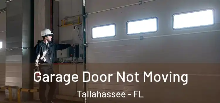  Garage Door Not Moving Tallahassee - FL
