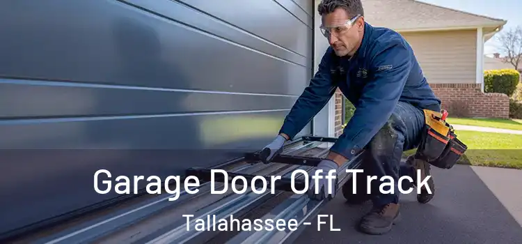  Garage Door Off Track Tallahassee - FL