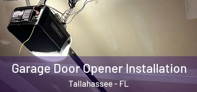  Garage Door Opener Installation Tallahassee - FL