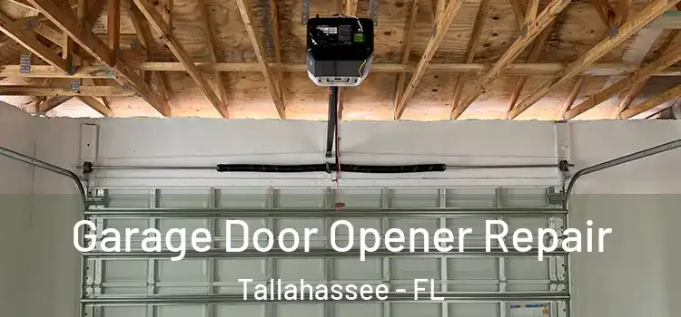  Garage Door Opener Repair Tallahassee - FL