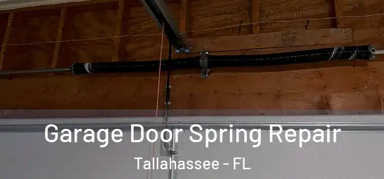  Garage Door Spring Repair Tallahassee - FL