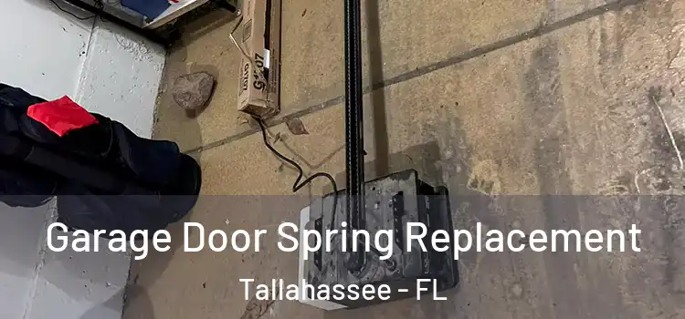  Garage Door Spring Replacement Tallahassee - FL
