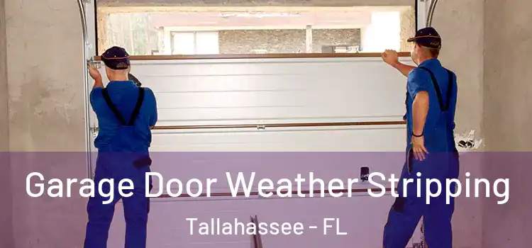  Garage Door Weather Stripping Tallahassee - FL