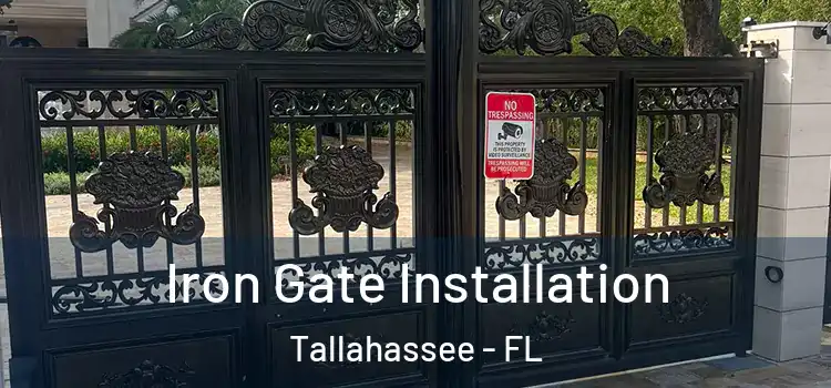  Iron Gate Installation Tallahassee - FL