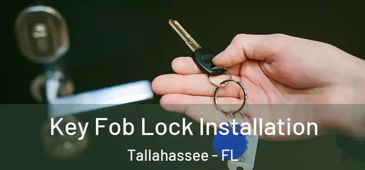  Key Fob Lock Installation Tallahassee - FL