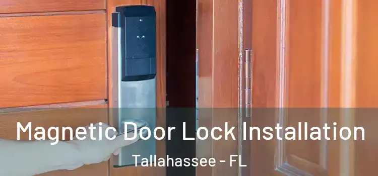  Magnetic Door Lock Installation Tallahassee - FL