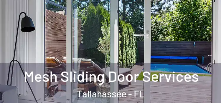  Mesh Sliding Door Services Tallahassee - FL