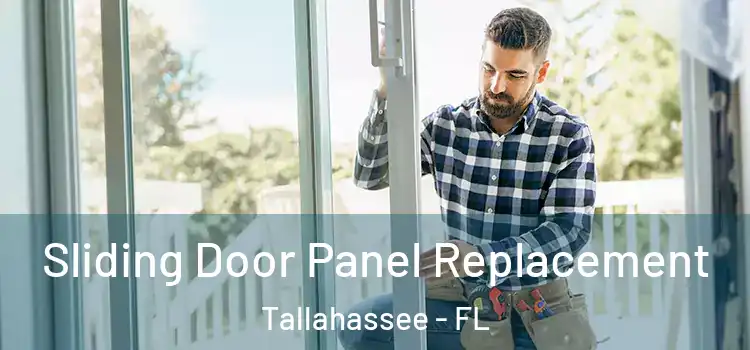  Sliding Door Panel Replacement Tallahassee - FL