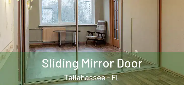  Sliding Mirror Door Tallahassee - FL