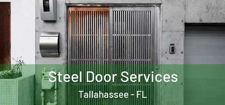  Steel Door Services Tallahassee - FL