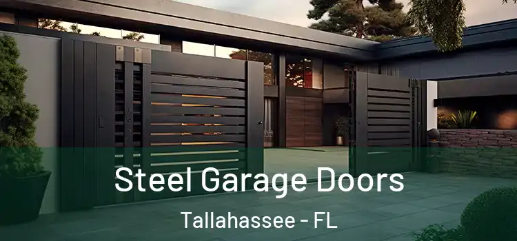  Steel Garage Doors Tallahassee - FL