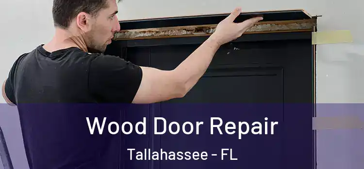  Wood Door Repair Tallahassee - FL